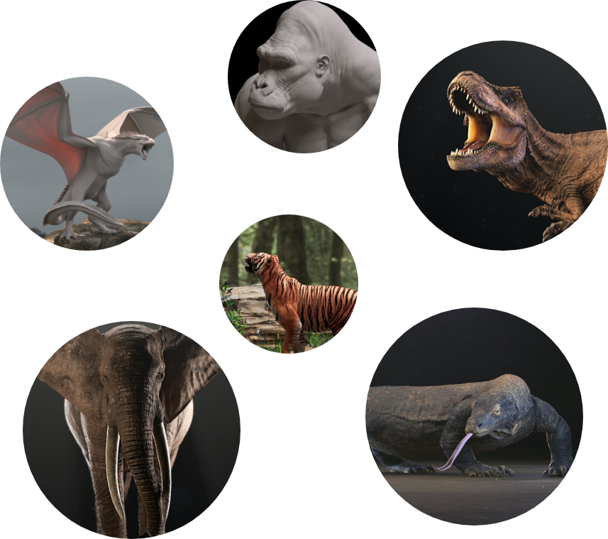 animal-image